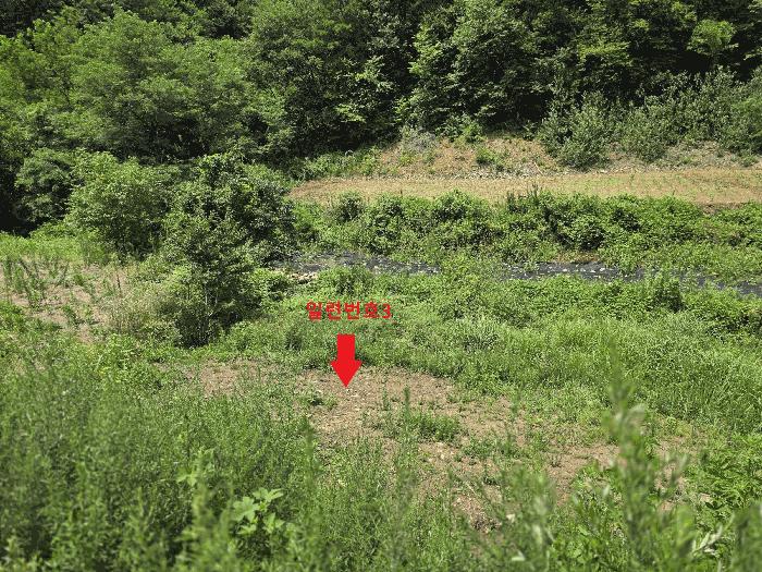 충청남도 금산군 남이면 성곡리 268 답 경매 사진 1
