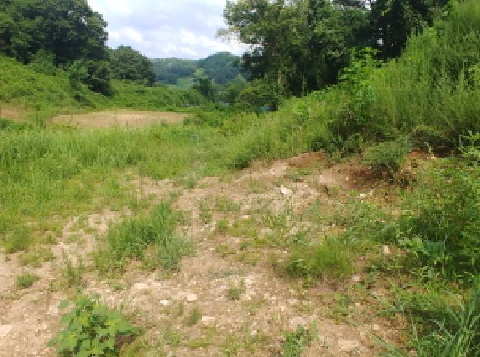 충청남도 금산군 남이면 성곡리 268 답 경매 사진 21