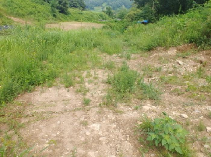 충청남도 금산군 남이면 성곡리 268 답 경매 사진 22