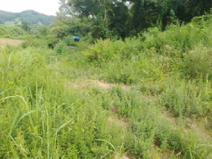 충청남도 금산군 남이면 성곡리 268 답 경매 사진 23