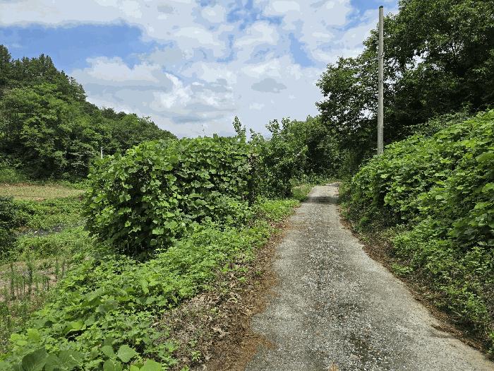 충청남도 금산군 남이면 성곡리 268 답 경매 사진 3