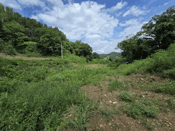 충청남도 금산군 남이면 성곡리 268 답 경매 사진 4