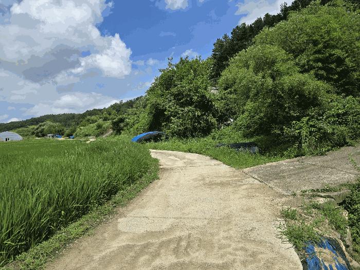 충청남도 금산군 남이면 성곡리 268 답 경매 사진 7
