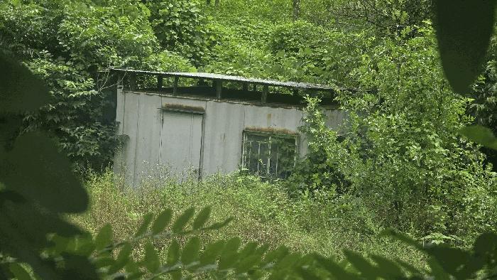충청남도 금산군 진산면 읍내리 368-7 답 경매 사진 1