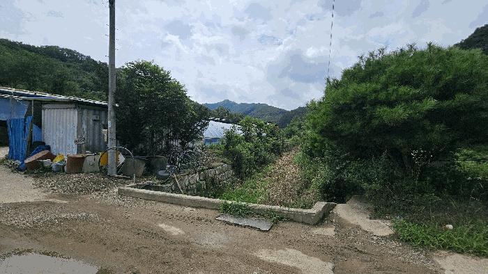 충청남도 금산군 진산면 읍내리 368-7 답 경매 사진 3