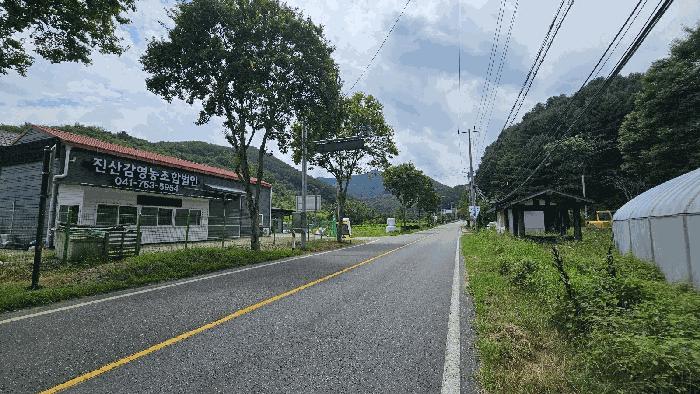 충청남도 금산군 진산면 읍내리 368-7 답 경매 사진 4