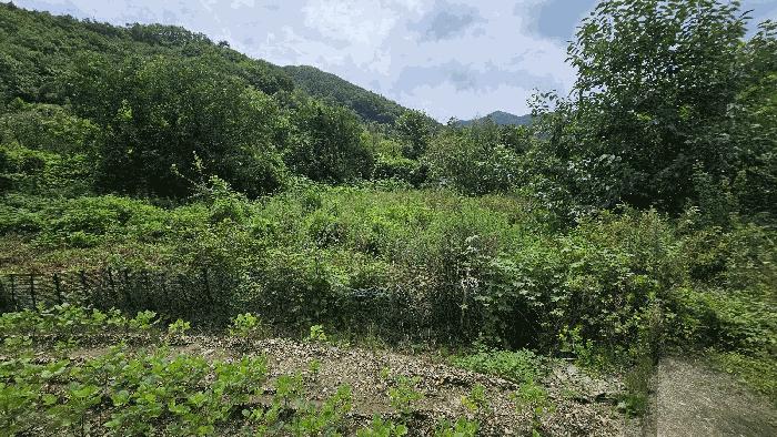 충청남도 금산군 진산면 읍내리 368-7 답 경매 사진 5