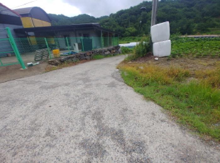 충청남도 금산군 진산면 읍내리 368-7 답 경매 사진 9