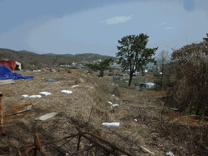 울산광역시 북구 어물동 240-1 전 경매 사진 10