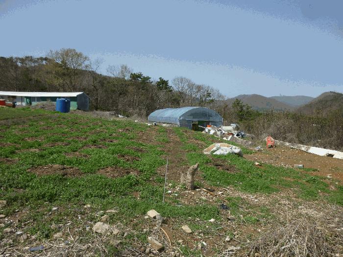 울산광역시 북구 어물동 240-1 전 경매 사진 12