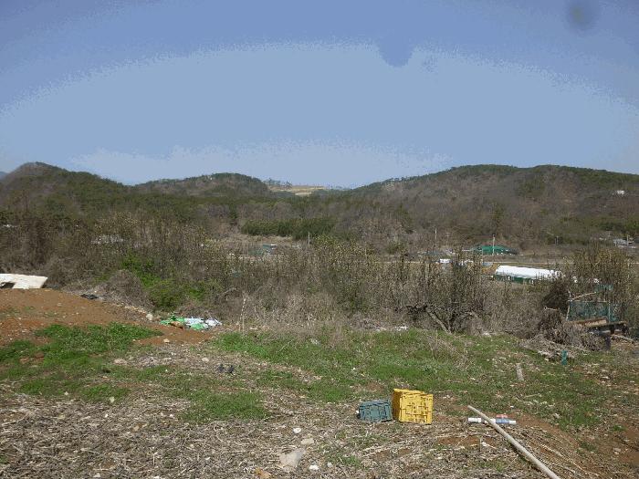 울산광역시 북구 어물동 240-1 전 경매 사진 14