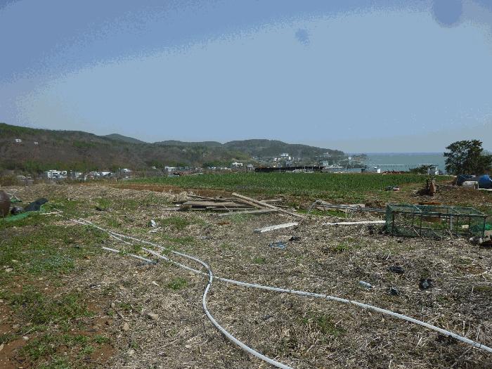 울산광역시 북구 어물동 240-1 전 경매 사진 18