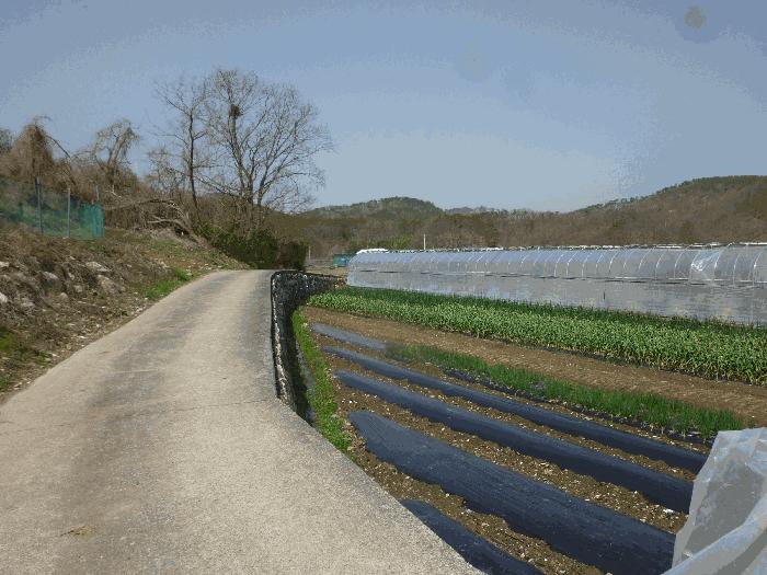 울산광역시 북구 어물동 240-1 전 경매 사진 28