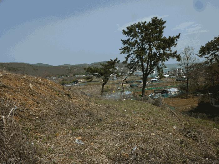 울산광역시 북구 어물동 240-1 전 경매 사진 34