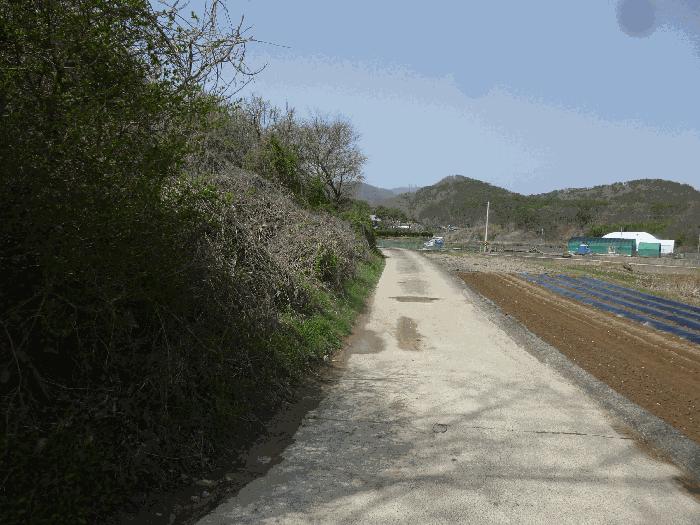울산광역시 북구 어물동 240-1 전 경매 사진 36