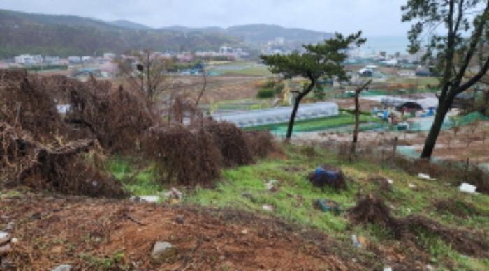 울산광역시 북구 어물동 240-1 전 경매 사진 40