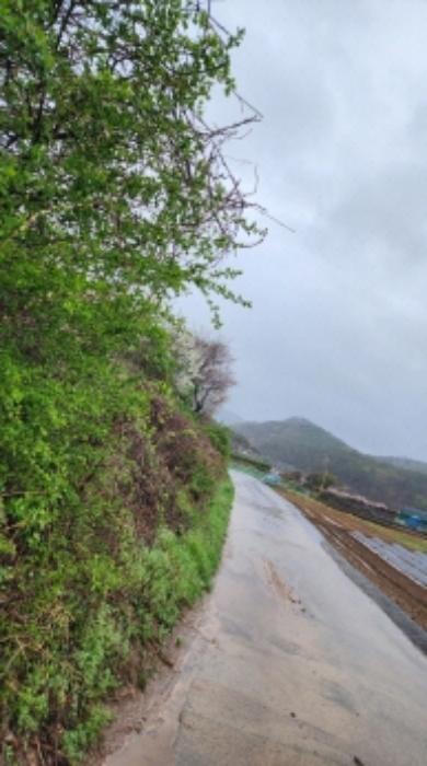 울산광역시 북구 어물동 240-1 전 경매 사진 42
