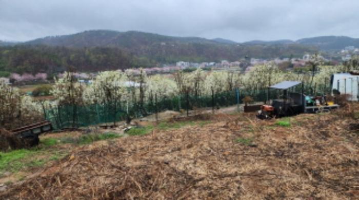 울산광역시 북구 어물동 240-1 전 경매 사진 51