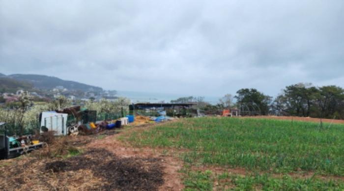 울산광역시 북구 어물동 240-1 전 경매 사진 52