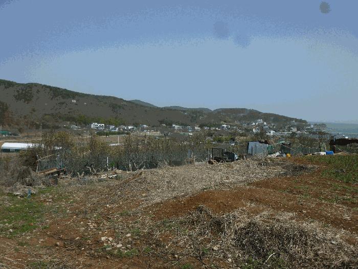 울산광역시 북구 어물동 240-1 전 경매 사진 7
