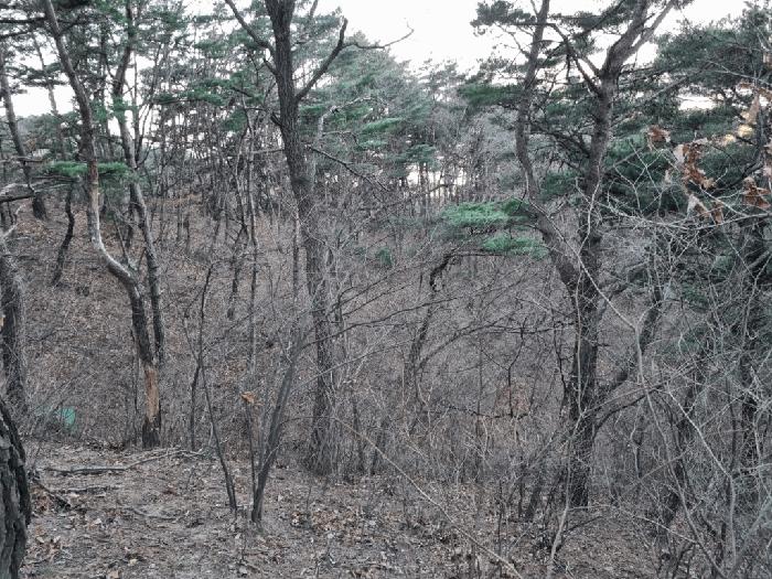 울산 북구 임야