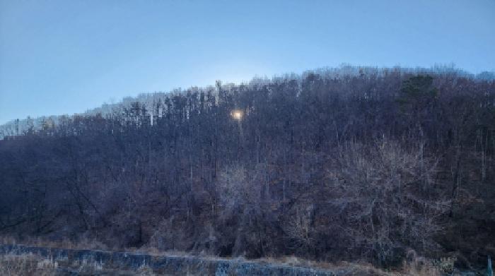 울산광역시 울주군 두동면 봉계리 산156-9 임야 경매 사진 1