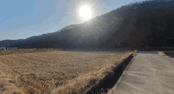 울산광역시 울주군 두동면 봉계리 산156-9 임야 경매 사진 2