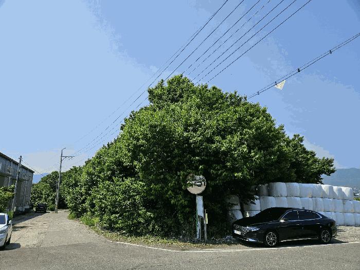 경상남도 김해시 전