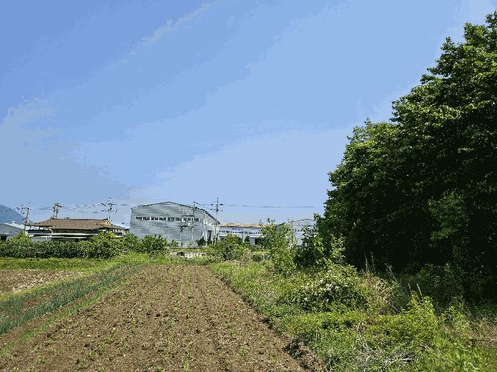 경상남도 김해시 진례면 담안리 518 전 경매 사진 5