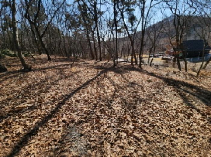 인천광역시 중구 운북동 385-3 임야 경매 사진 10