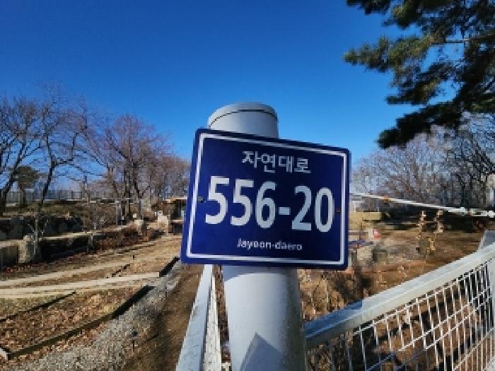 인천광역시 중구 운북동 385-3 임야 경매 사진 4
