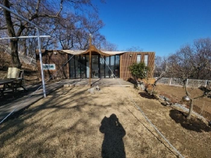 인천광역시 중구 운북동 385-3 임야 경매 사진 5