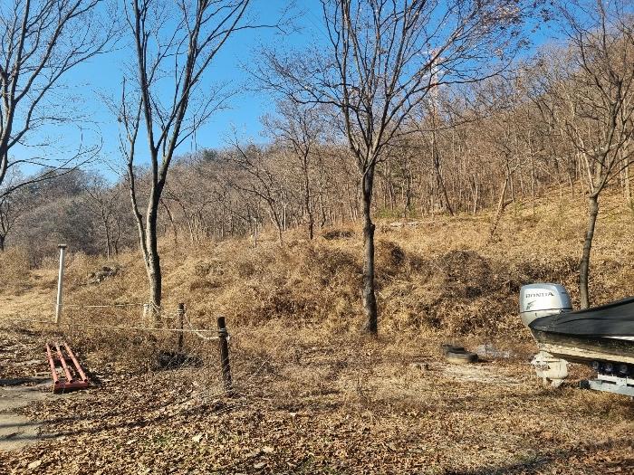 강원특별자치도 춘천시 남면 박암리 산14 임야 경매 사진 13