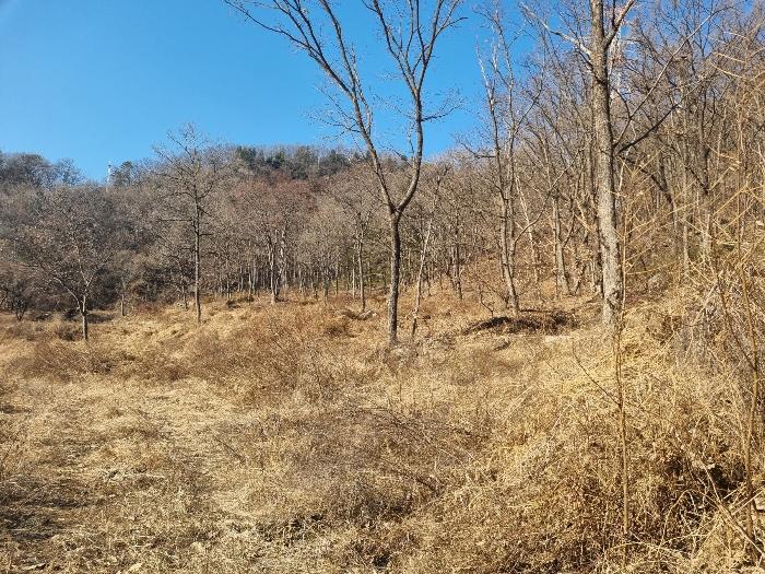 강원특별자치도 춘천시 남면 박암리 산14 임야 경매 사진 15