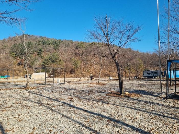 강원특별자치도 춘천시 남면 박암리 산14 임야 경매 사진 2