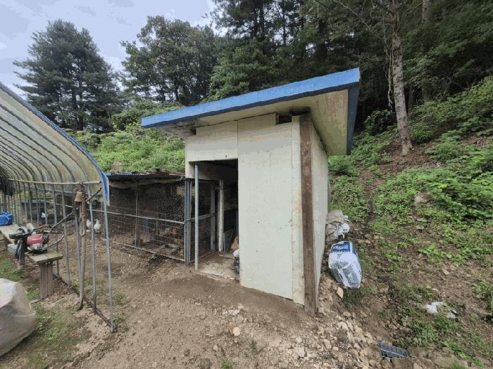 강원도 홍천군 화촌면 군업리 282-1 주1동 상가 경매 사진 10