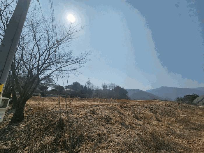 강원특별자치도 홍천군 남면 남노일리 230-15 전 경매 사진 4