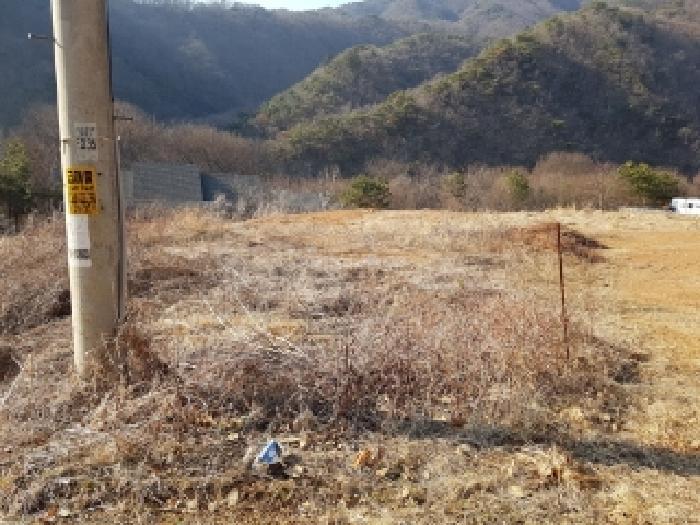강원특별자치도 홍천군 남면 남노일리 230-15 전 경매 사진 5
