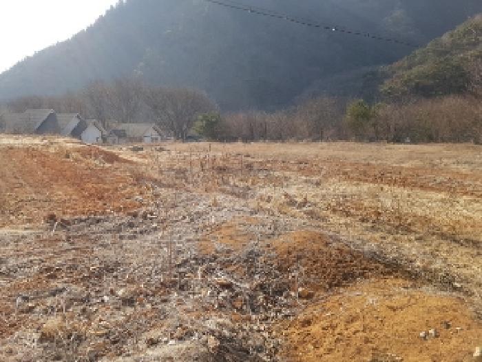 강원특별자치도 홍천군 남면 남노일리 230-15 전 경매 사진 7