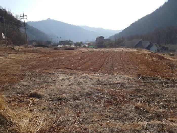 강원특별자치도 홍천군 남면 남노일리 230-15 전 경매 사진 8