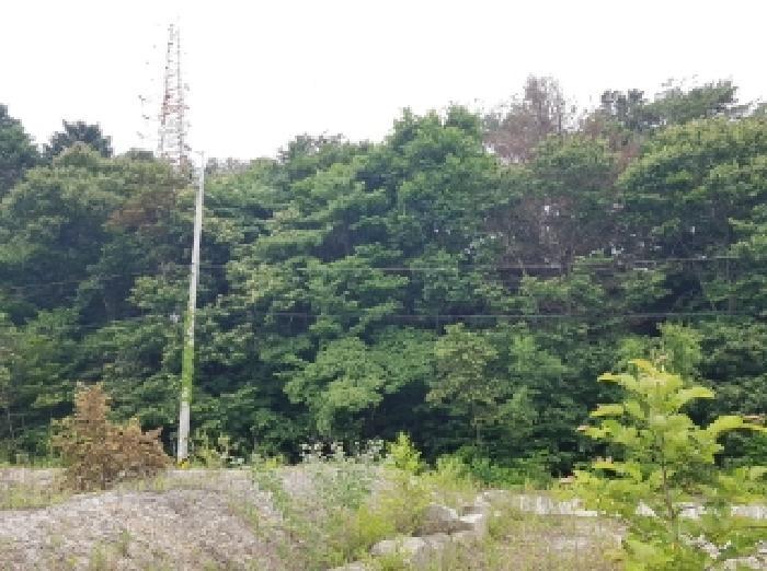 강원특별자치도 춘천시 퇴계동 산2 임야 경매 사진 16