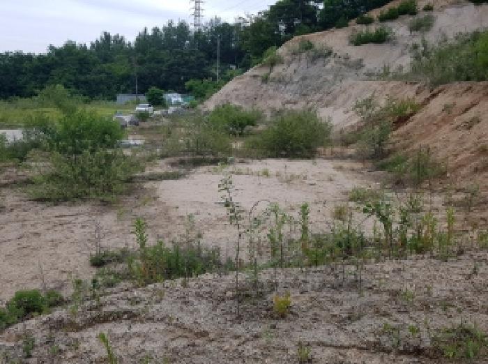 강원특별자치도 춘천시 퇴계동 산2 임야 경매 사진 20