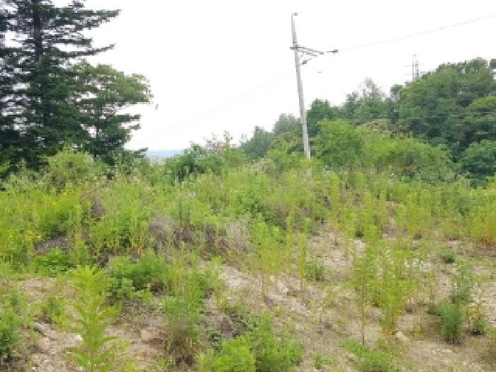 강원특별자치도 춘천시 퇴계동 산2 임야 경매 사진 23