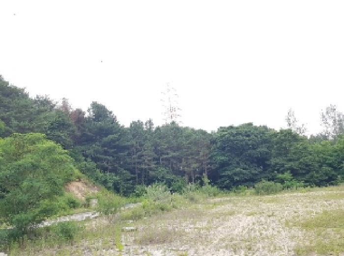 강원특별자치도 춘천시 퇴계동 산2 임야 경매 사진 7