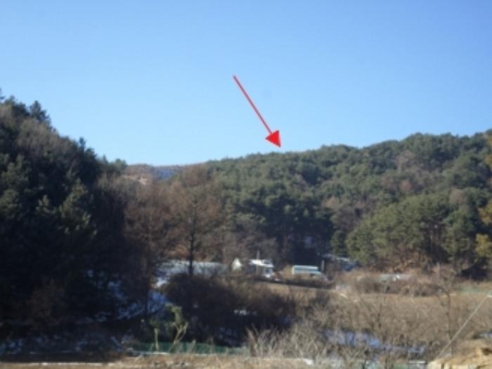 강원특별자치도 횡성군 둔내면 둔방내리 230-32 임야 경매 사진 6