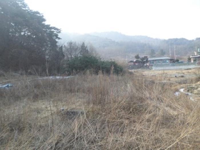 강원특별자치도 원주시 흥업면 흥업리 1316-3 전 경매 사진 10