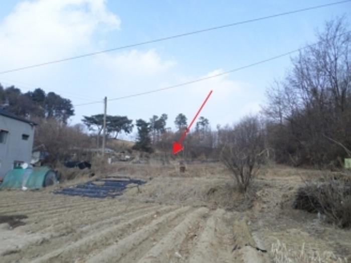 강원특별자치도 원주시 흥업면 흥업리 1316-3 전 경매 사진 13