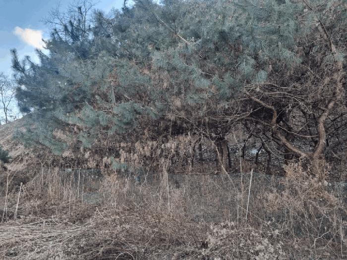 강원특별자치도 원주시 흥업면 흥업리 1316-3 전 경매 사진 4