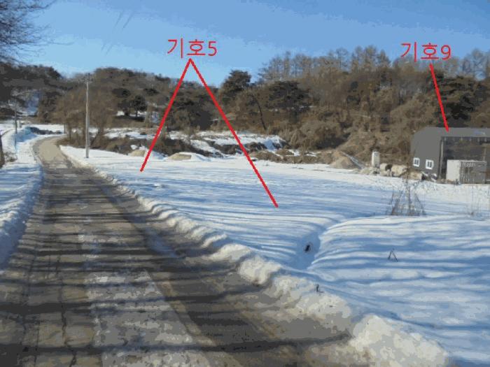충청북도 충주시 신니면 광월리 534 답 경매 사진 6