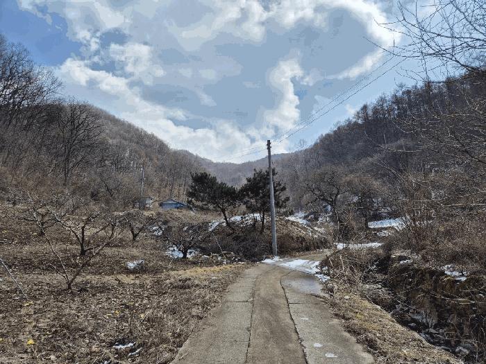 충청북도 충주시 주덕읍 삼청리 18-1 답 경매 사진 2